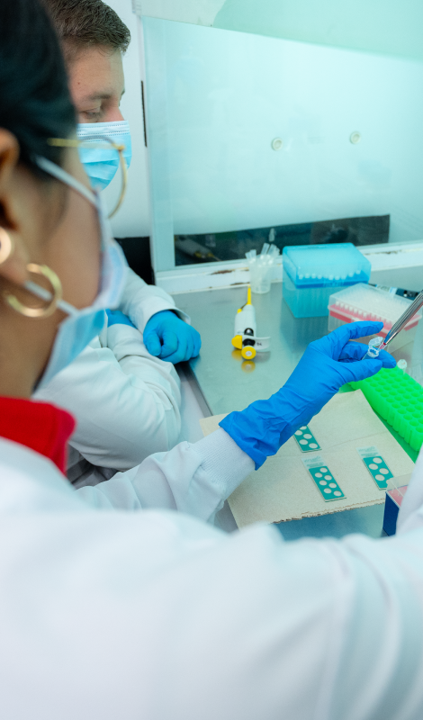 Biolog&iacute;a Molecular Aplicada