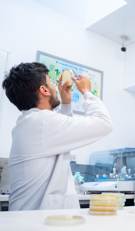 Biolog&iacute;a Molecular