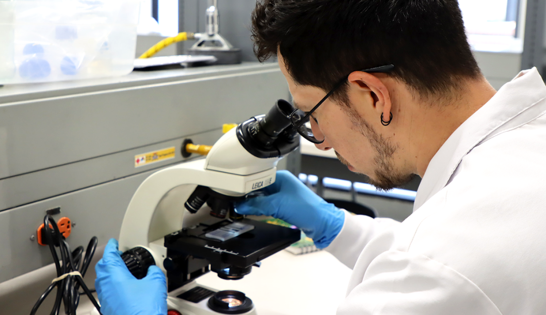 Pregrado en Biolog&iacute;a