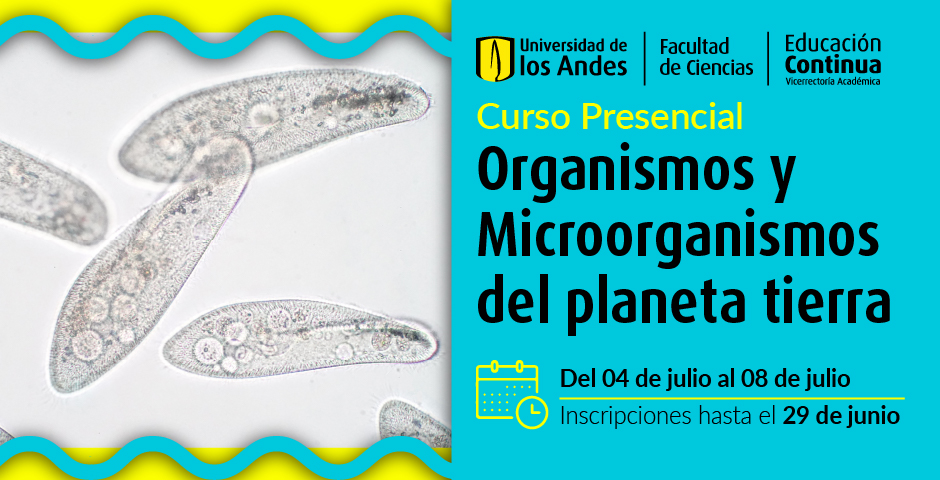 organismos-y-microorganismos-del-planeta-tierra