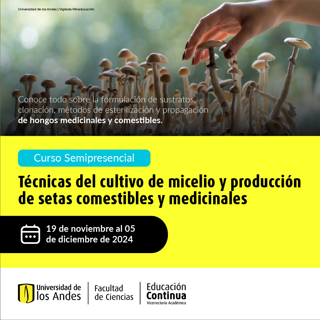 Técnicas del cultivo de micelio y producción de setas comestibles y medicinales