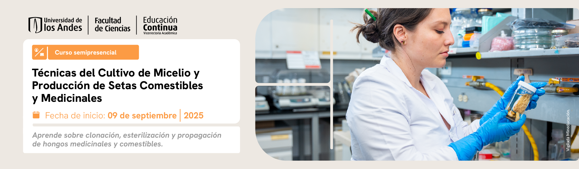  Técnicas del Cultivo de Micelio y Producción de Setas Comestibles y Medicinales