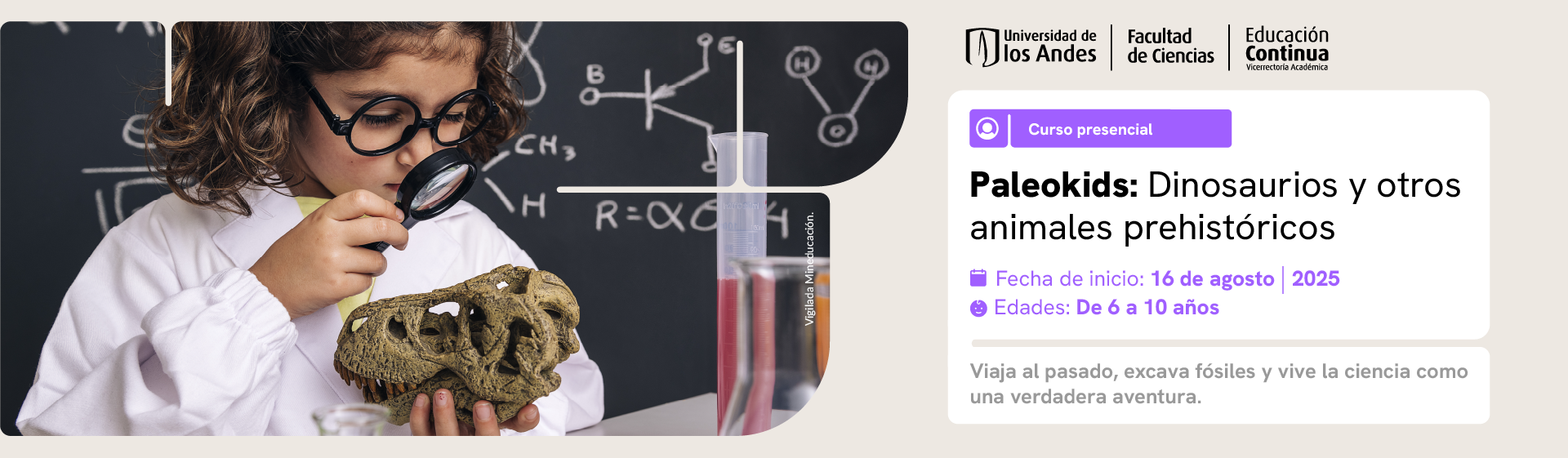 Curso Paleokids