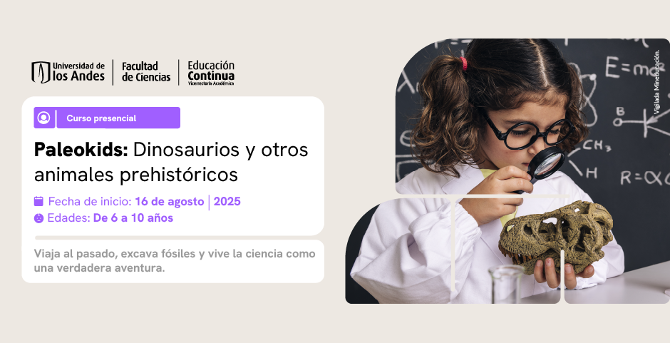 Curso Paleokids
