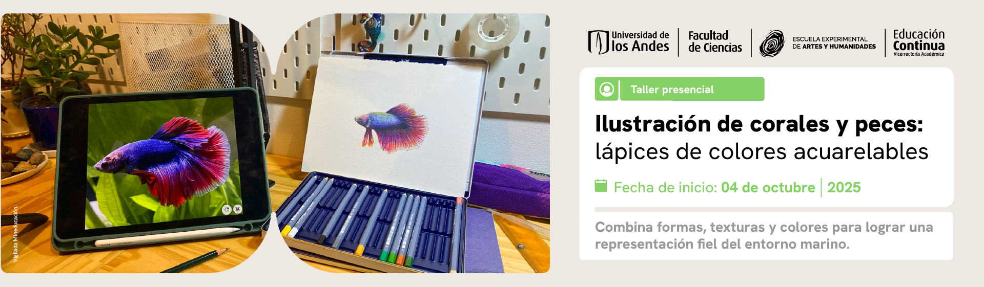 Ilustración de corales y peces