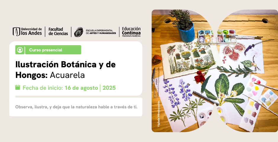 Curso Ilustración botánica y de hongos: acuarela