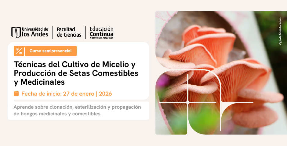 tecnicas-del-cultivo-de-micelio-y-produccion-de-setas-comestibles-y-medicinales