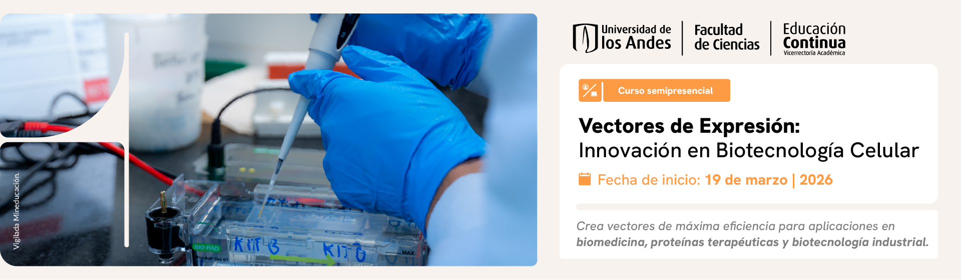 Vectores de Expresión: Innovación en Biotecnología Celular