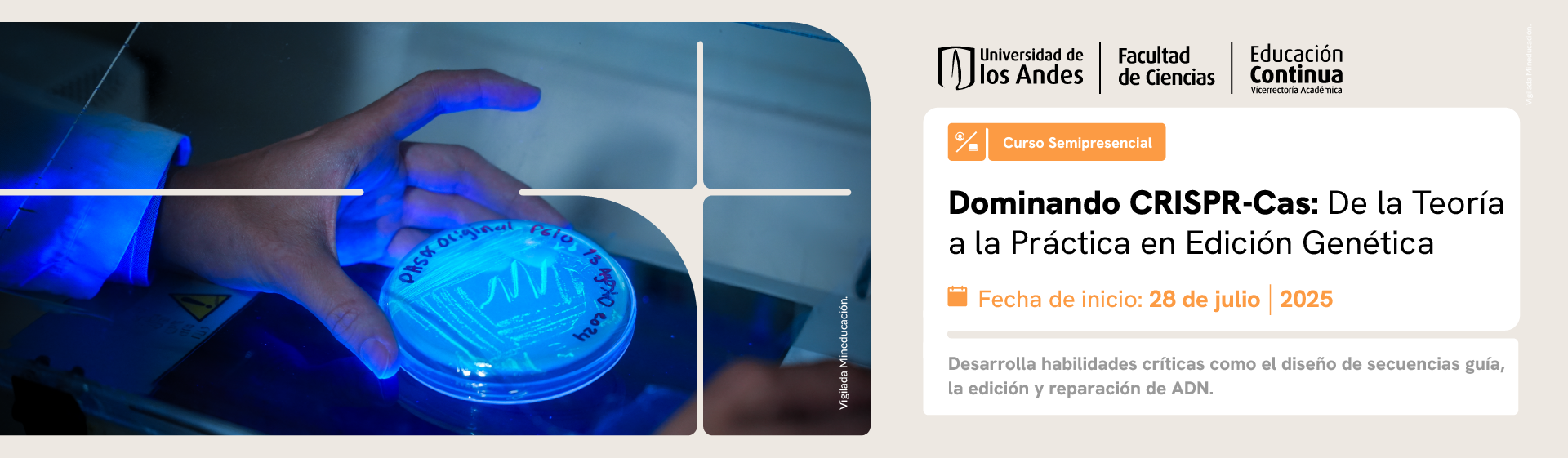 Dominando CRISPR-Cas: De la Teoría a la Práctica en Edición Genética