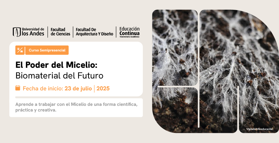 El Poder del Micelio: Biomaterial del Futuro