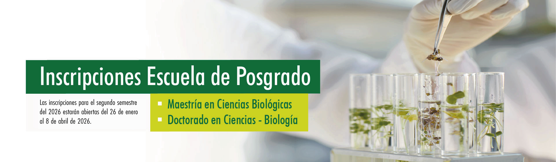 Inscripciones Escuela de Posgrado 202620