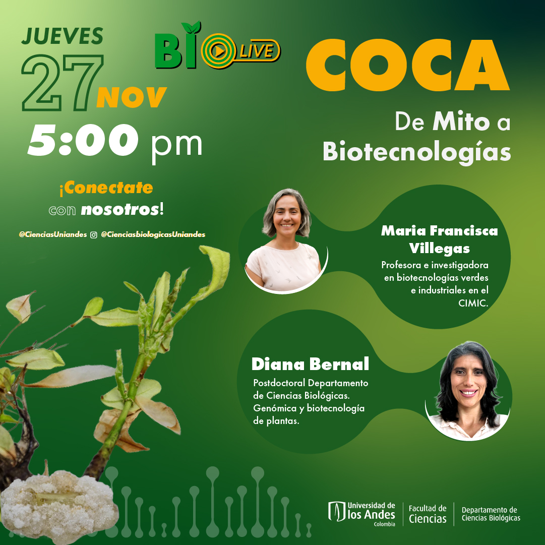 Coca: De mito a Biotecnologías Coca: De mito a Biotecnologías