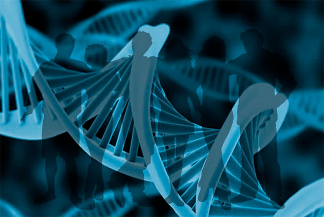 Laboratorio de Genética Humana - Uniandes