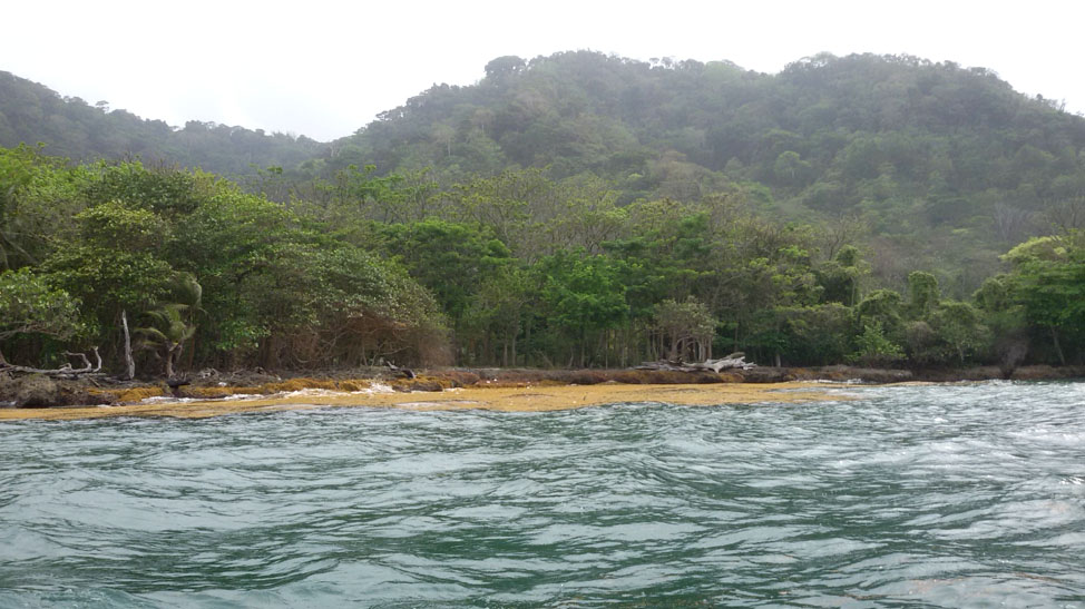 Oceanografía Geociencias - Uniandes