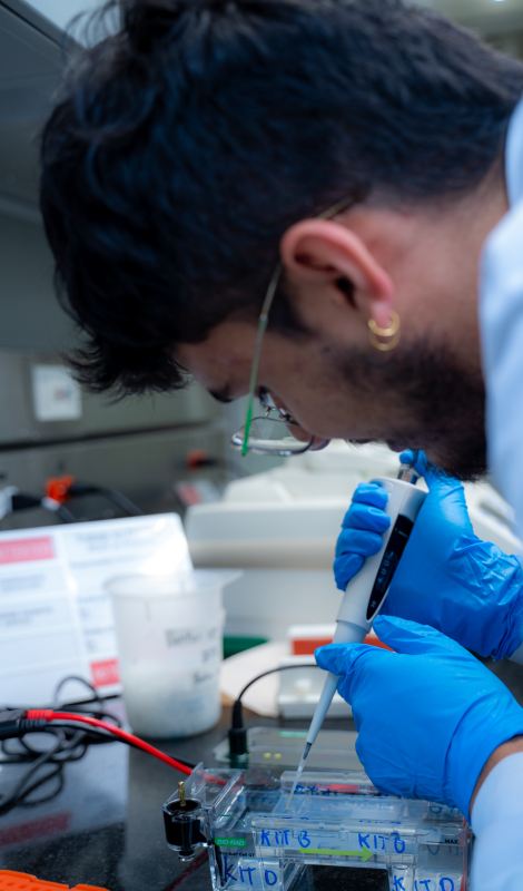 Vectores de Expresión: Innovación en Biotecnología Celular